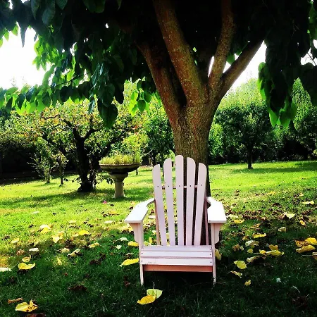 Frühstückspension Agriturismo Il Prato Trecastelli